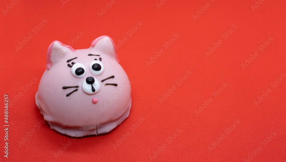chocolate cookies with cream. red background. cat chocolate cookies with cream. red background. cat