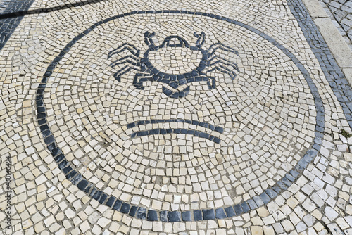 black and white basalt pavement representing a crab on a sidewalk in Aveiro, Portugal