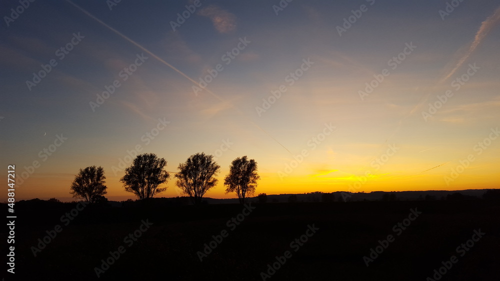 vier Bäume im Sonnenuntergang am Horizont
