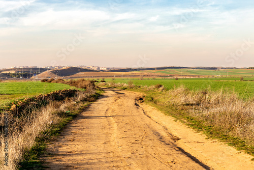 dirt road through farm fields