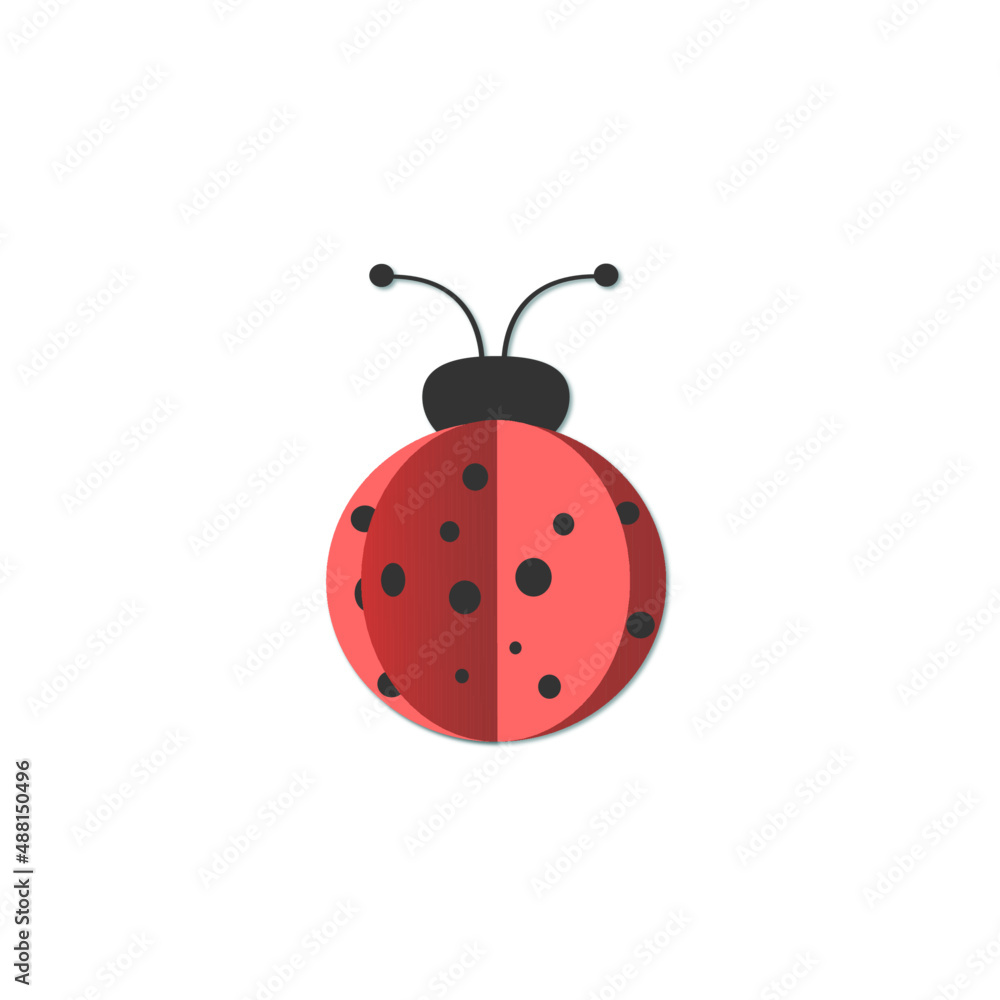 ladybug on white background ladybug on white background