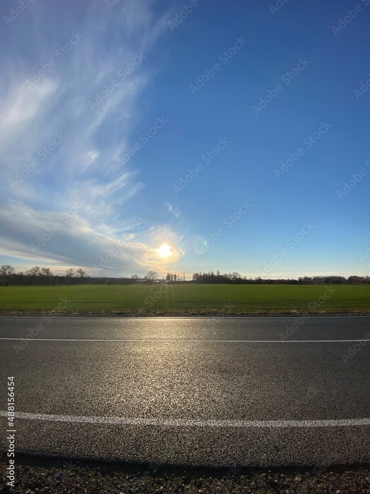 Vertical shot of an asphalt road near field on sunset