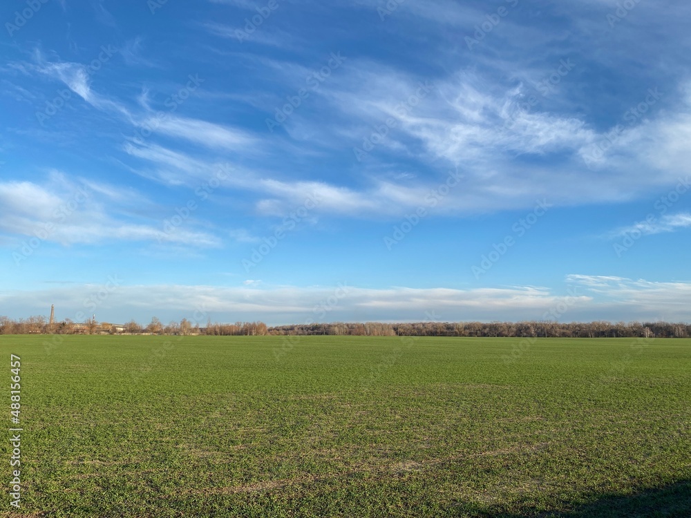 Stunning scenery of a green field on sunny day