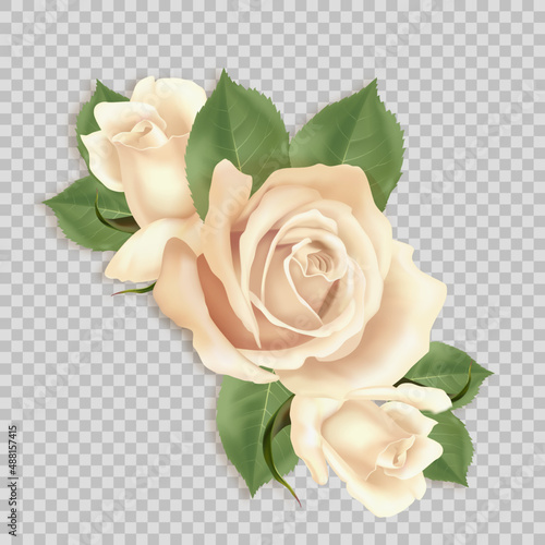 Vector bouquet of three white roses 