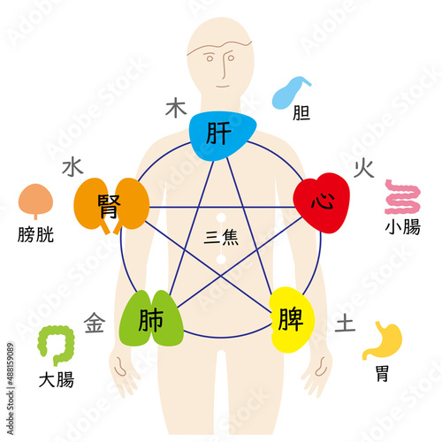 五行と五臓六腑、東洋医学、人のからだ