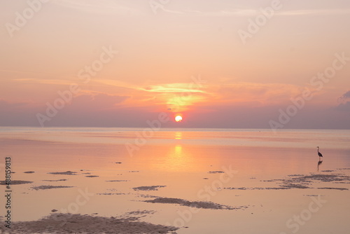モルディブ ディフューシ島の夕日と鳥