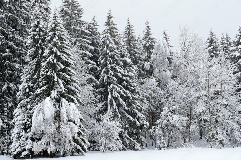 Naklejka premium Daily life. French Alps.