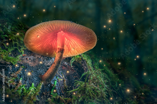 Magical forest with fireflies and glowing mushroom at dusk.