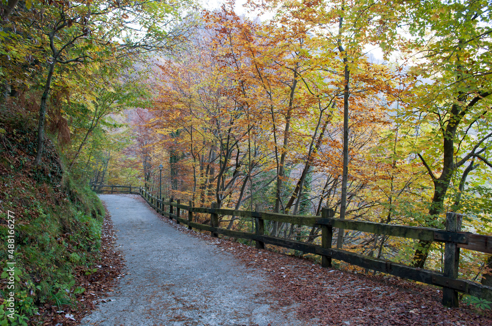 Autumnal Mountain Road. Italian Alps Autumnal Mountain Road. Italian Alps