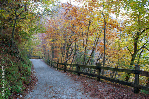 Autumnal Mountain Road. Italian Alps