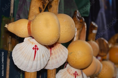 Фотография Scallop, pumpkin and sticks from the road to Santiago de Compostela