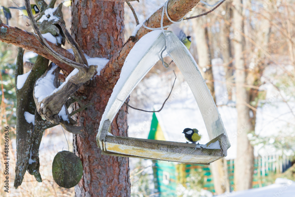 A bird feeder hangs on a tree in the village yard