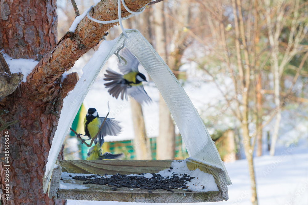 A bird feeder hangs on a tree in the village yard