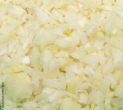 Sliced onion as a background.