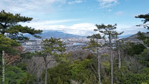 trees in the mountains