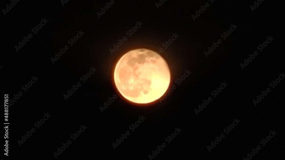 The Moon in close up, full moon in the night, dark night and yellow moon, moonlight, selective focus of the Moon The Moon in close up, full moon in the night, dark night and yellow moon, moonlight, selective focus of the Moon