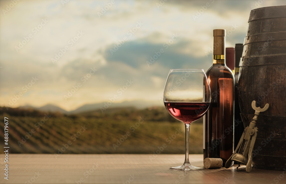 Vineyard and wine tasting experience