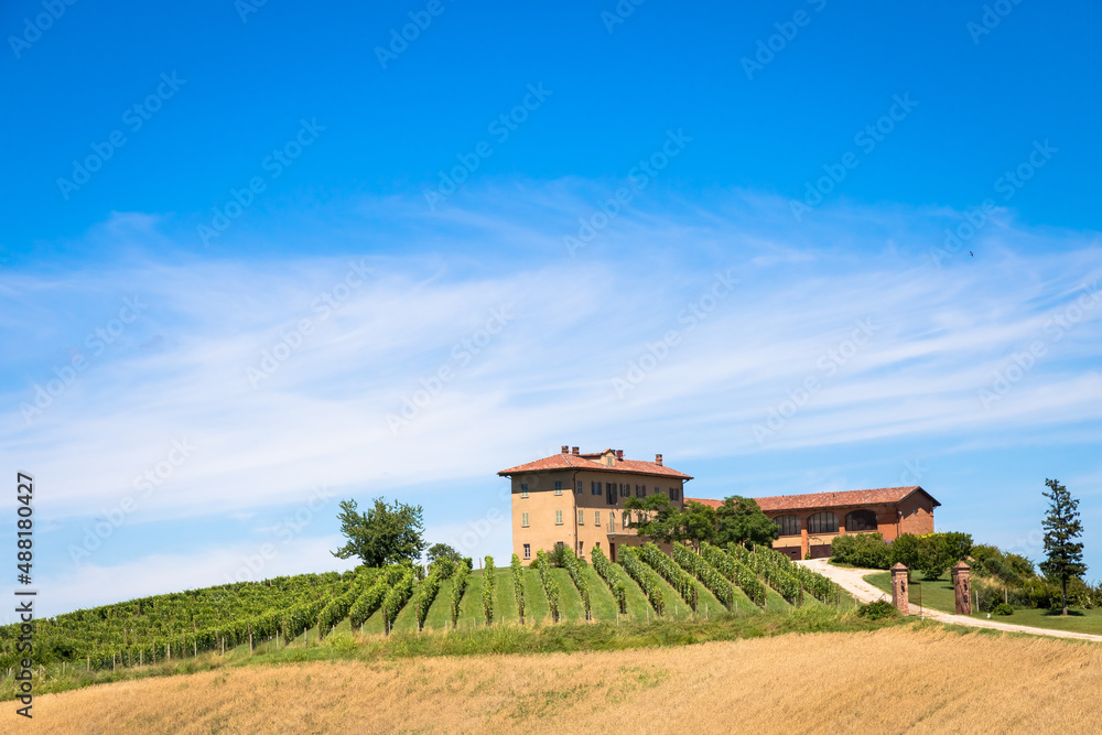Φωτογραφία Piedmont hills in Italy with scenic countryside, vineyard field and blue sky