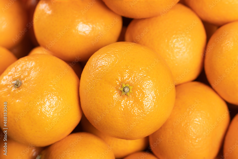 Close up Image of Citrus Reticulata or local called as a Mandarin Orange. Famous on Chinese New year festival at Malaysia. Selective focus Close up Image of Citrus Reticulata or local called as a Mandarin Orange. Famous on Chinese New year festival at Malaysia. Selective focus