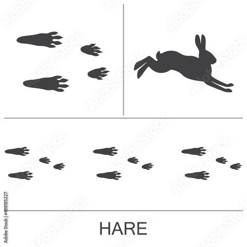Hare silhouette and prints of the hind and fore paws. Vector illustration on a white background.