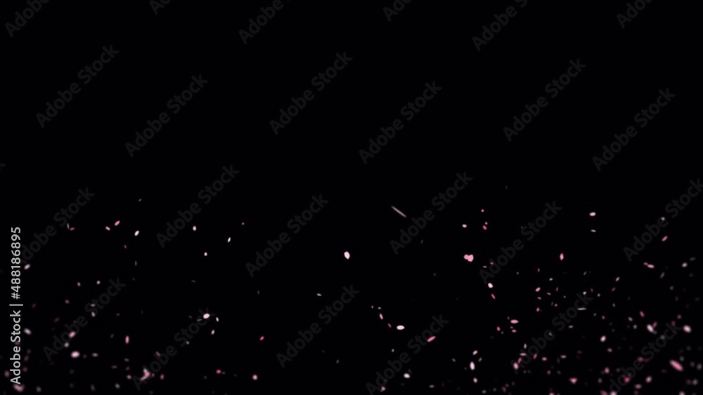 桜吹雪トランジション 桜吹雪トランジション