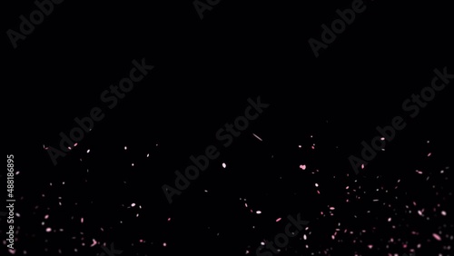 桜吹雪トランジション