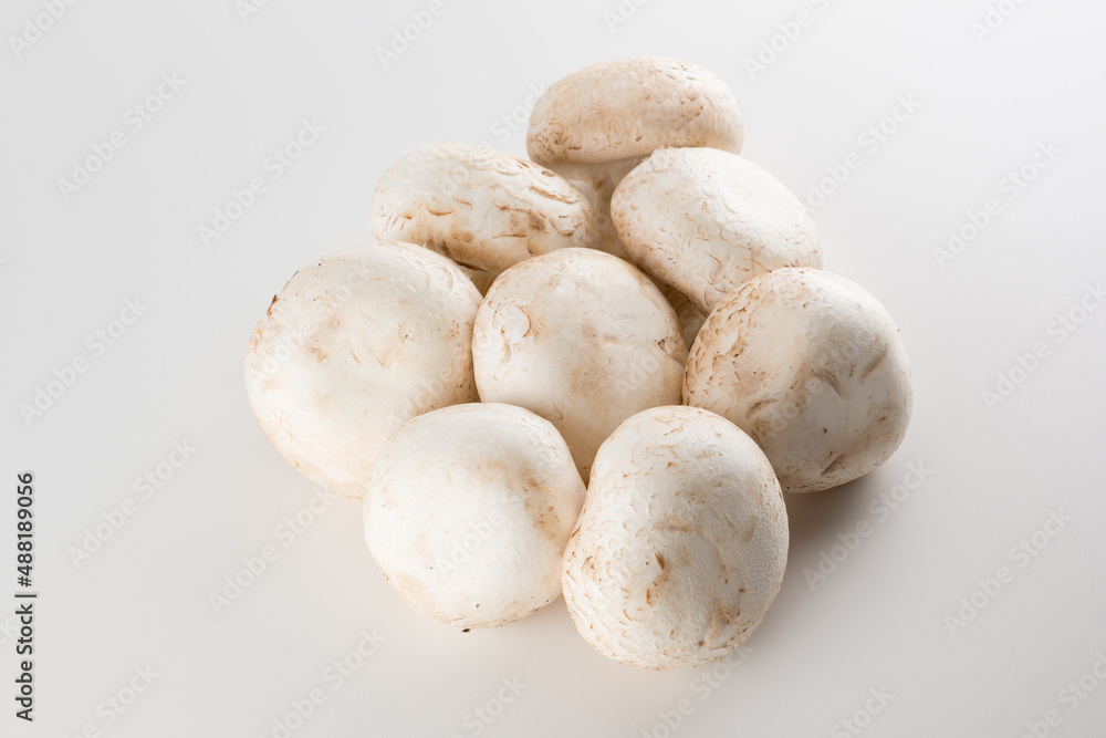 premium champignon mushrooms isolated