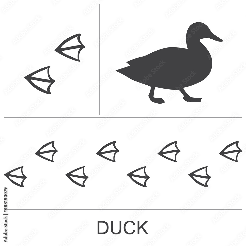 Fototapeta premium Duck silhouette and footprints. Vector illustration.