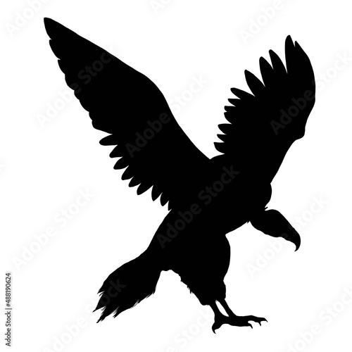 Silhouette of flying vulture on white 