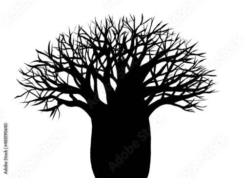 Fotografiet Silhouette of African baobab tree on white