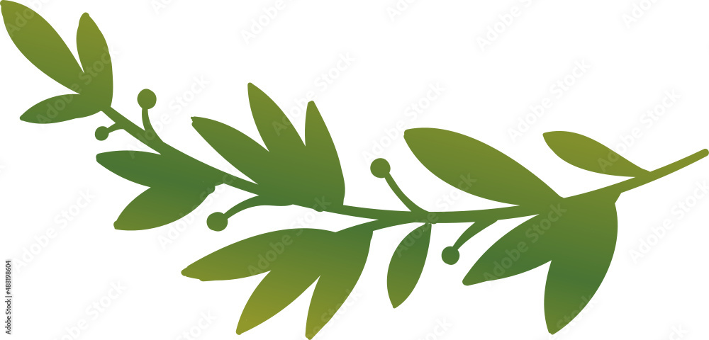 Decor leaves. Hand drawn greenery branches Decor leaves. Hand drawn greenery branches