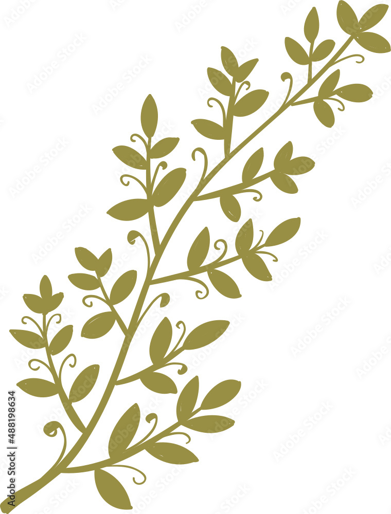 Decor leaves. Hand drawn greenery branches Decor leaves. Hand drawn greenery branches