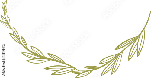 Decor leaves. Hand drawn greenery branches