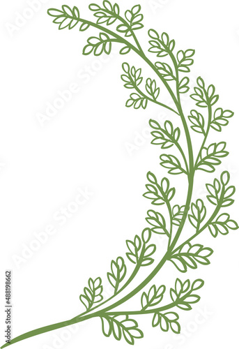 Decor leaves. Hand drawn greenery branches