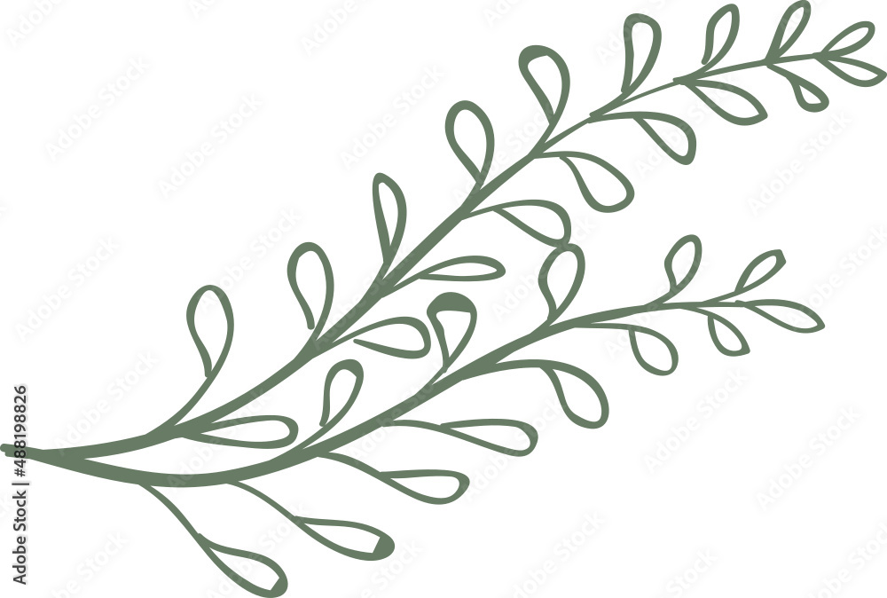 Decor leaves. Hand drawn greenery branches Decor leaves. Hand drawn greenery branches