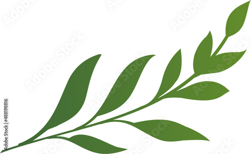 Decor leaves. Hand drawn greenery branches