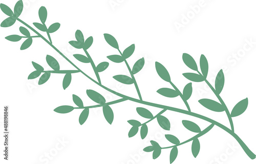Decor leaves. Hand drawn greenery branches © Tartila