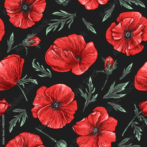 Poppies Pattern Flowers vector. Drawn by a color on a grey background. Flowers for the memorial. Remembrance day. 
