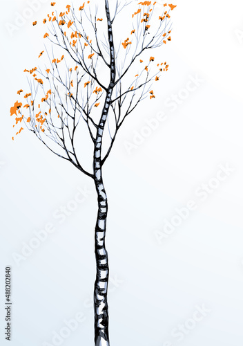 Birch. Vector drawing black pattern