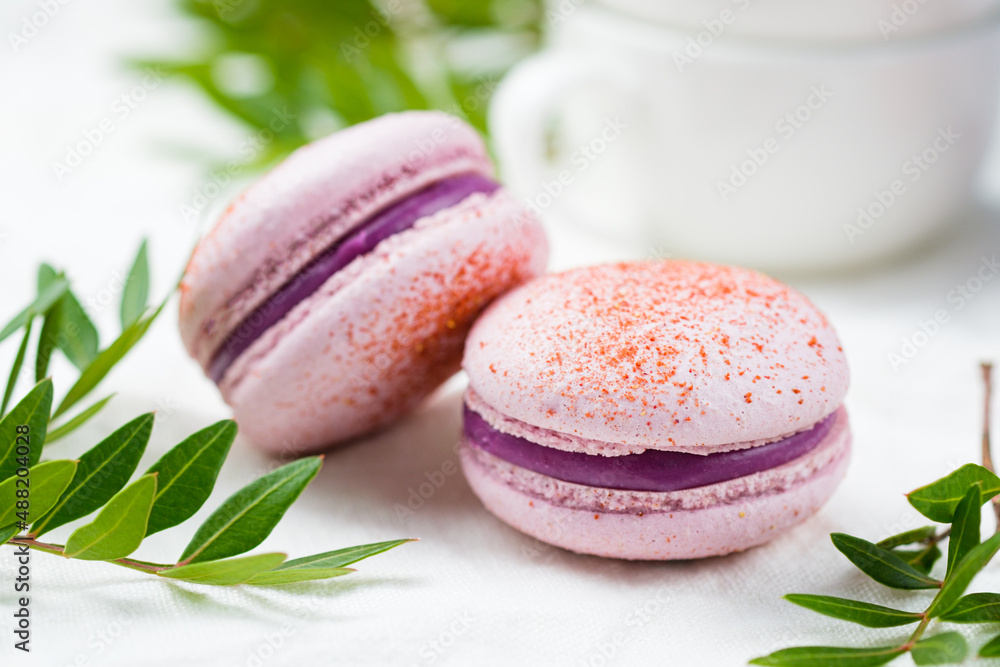 Cake macarons stuffed with currants and white chocolate. Delicious French dessert for coffee drinking. Cake macarons stuffed with currants and white chocolate. Delicious French dessert for coffee drinking.