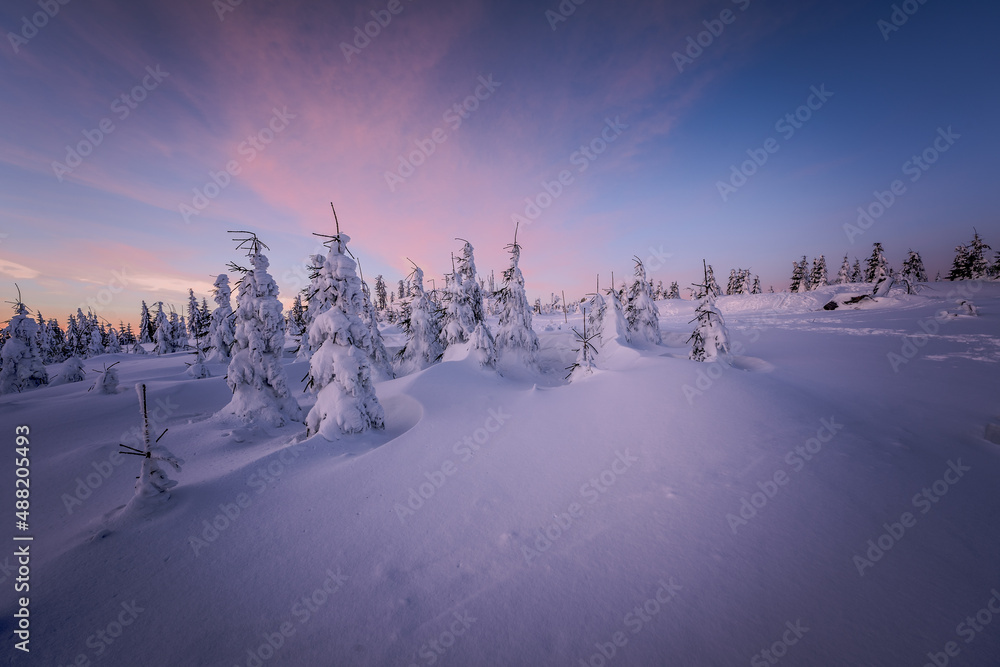 Sunrise and snow in winter Dreisesselberg on the border of Germany with the Czech Republic, Bavarian Forest - Sumava National Park. High quality photo