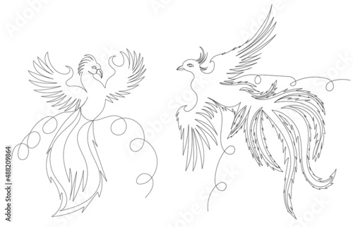 phoenix bird one line drawing, outline, vector © zolotons