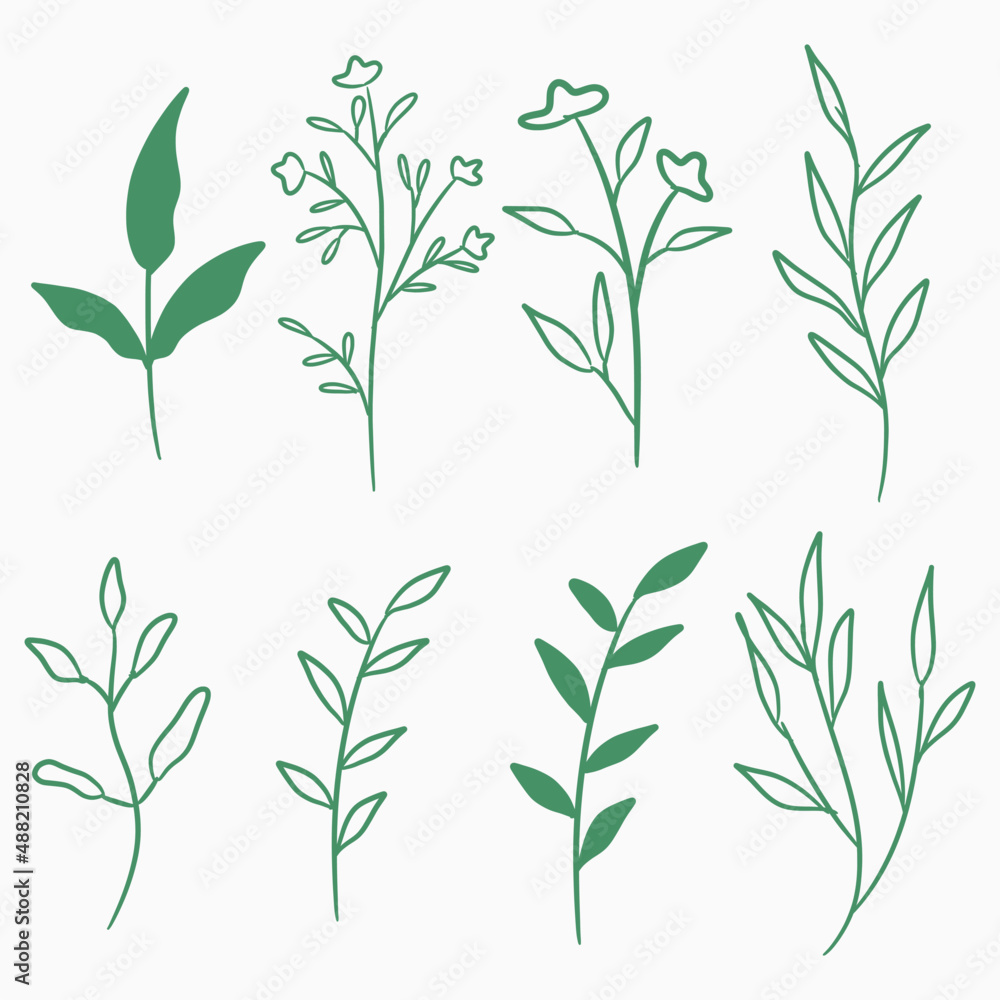 hand drawn decorative flower and leaves collection hand drawn decorative flower and leaves collection