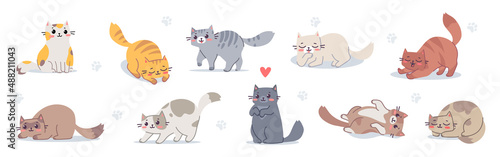 Vector set of illustration with happy cute different cat character on white color background. Flat line art style design of group of animal cat in different pose © wowomnom