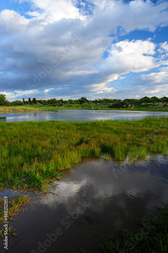 Feuchtgebiet   Teich auf der Kroatischen Insel Pag    Wetland   Pond on the Croatian Island of Pag