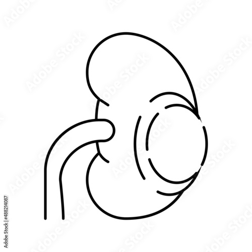 renal cyst line icon vector illustration