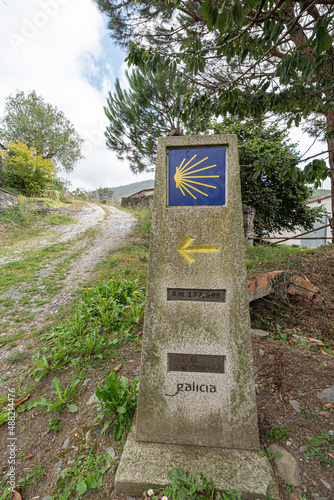 The yellow shell of scallops that signs the way to Santiago de Compostela on the pilgrimage route of the James photo