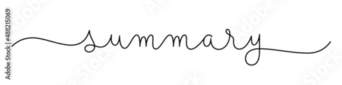 SUMMARY black vector monoline calligraphy banner with swashes