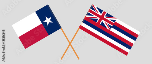 Crossed flags of the State of Texas and The State Of Hawaii. Official colors. Correct proportion. Vector illustration
