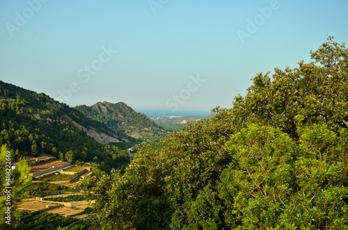 View of orange plantations on the Mediterranean coast of Spain between the mountains. On the horizon the Mediterranean Sea photo